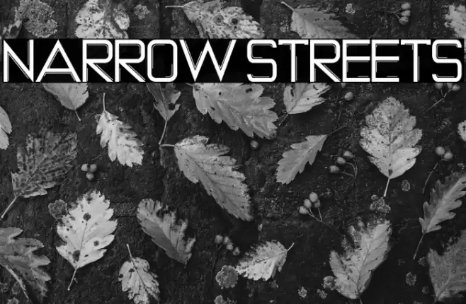 NARROW STREETS Font examples
