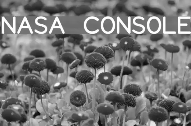NASA CONSOLE Fuentes examples