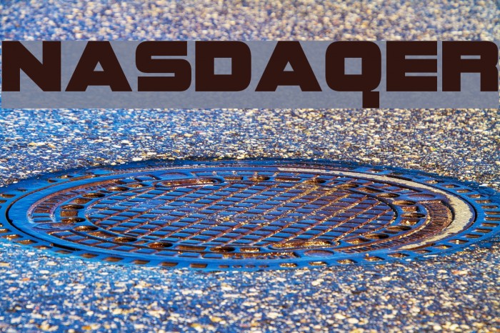NASDAQER Font examples