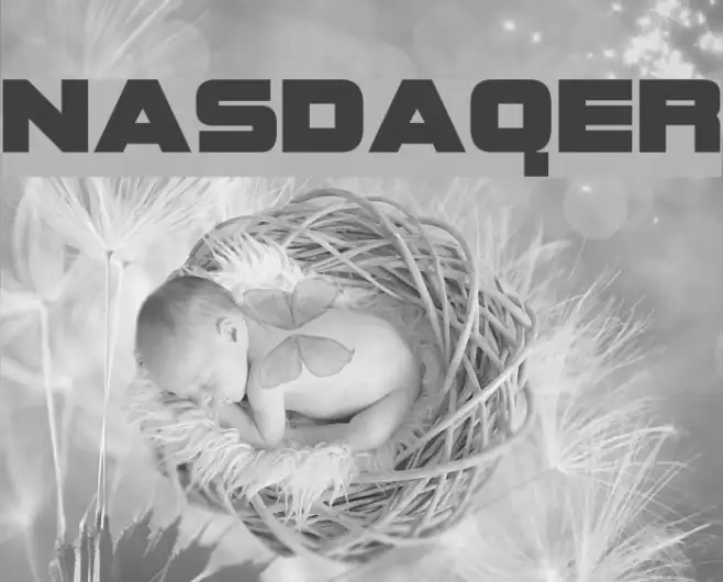 NASDAQER Example 2