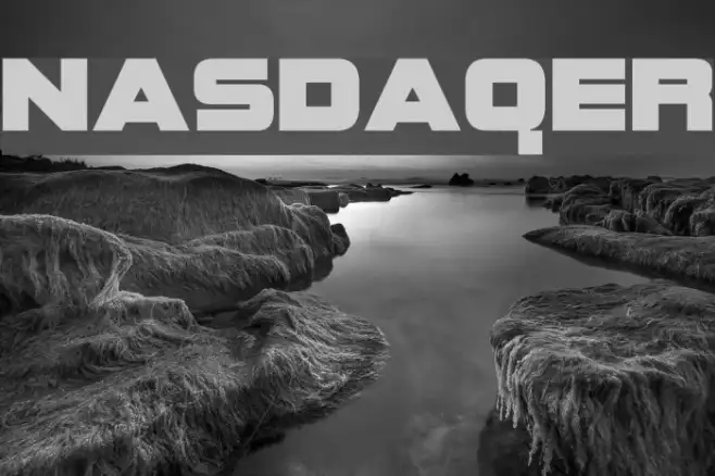 NASDAQER Example 3