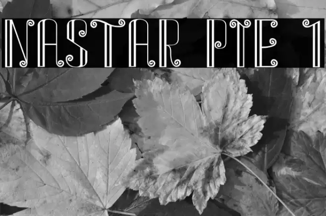 NASTAR PIE 1 Font examples