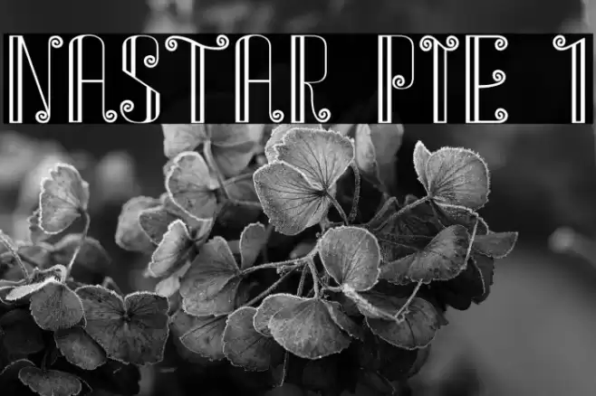 NASTAR PIE 1 Font examples