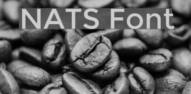 NATS Font examples
