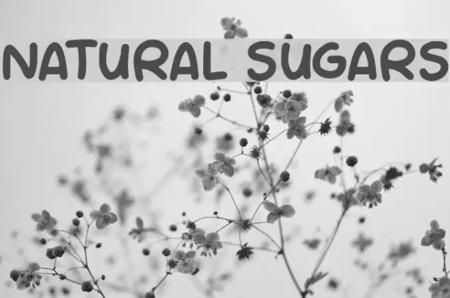 NATURAL SUGARS Font examples