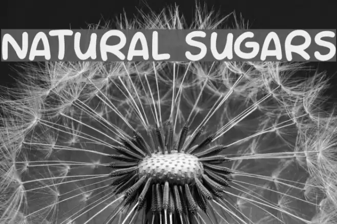 NATURAL SUGARS Font examples