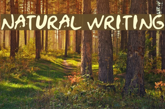 NATURAL WRITING Font examples