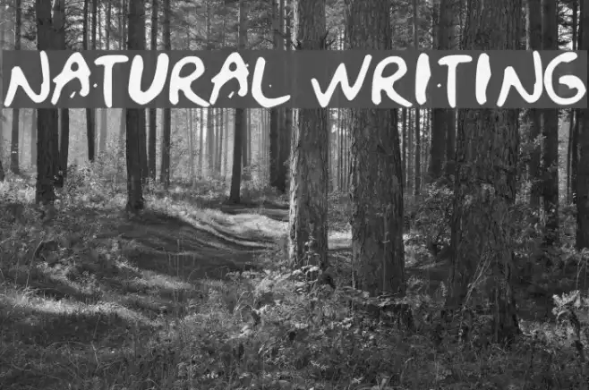 NATURAL WRITING Example 3