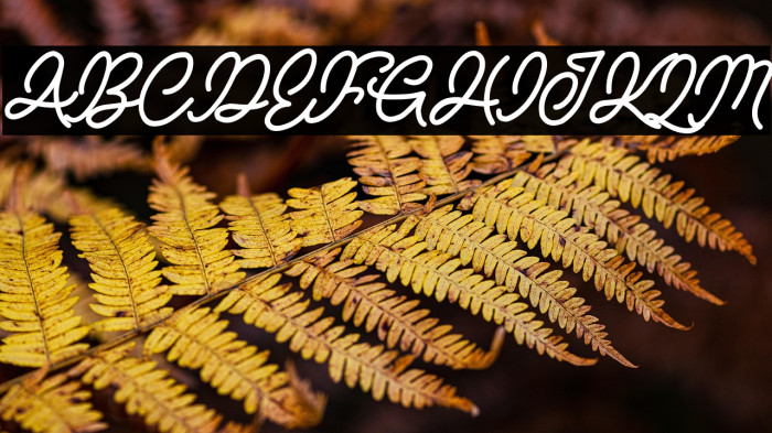 NATURE ADVENTURE DEMO Example 1