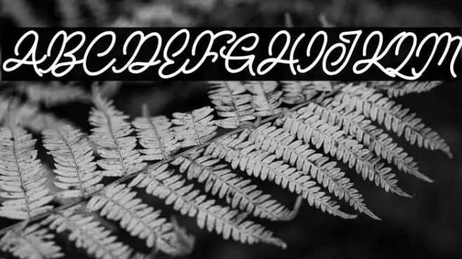 NATURE ADVENTURE DEMO Font examples