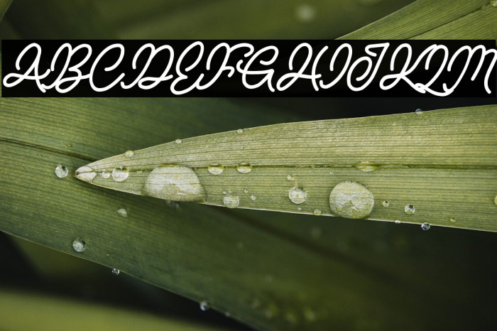 NATURE ADVENTURE DEMO Example 2