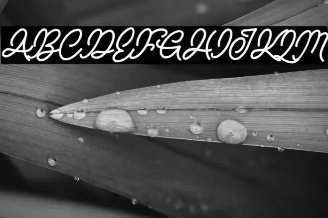 NATURE ADVENTURE DEMO Font examples