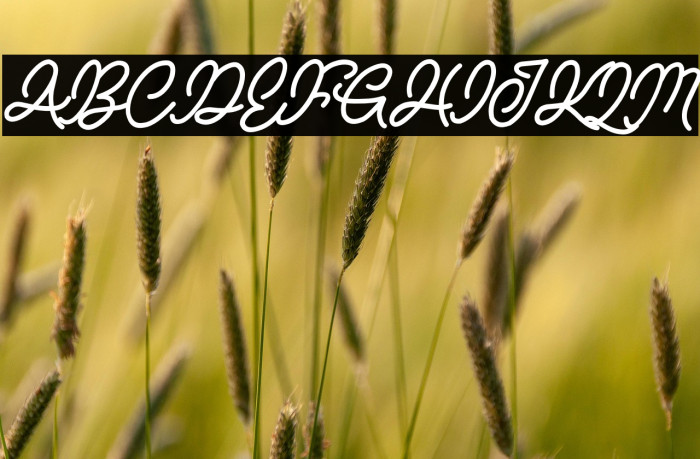 NATURE ADVENTURE DEMO Example 3