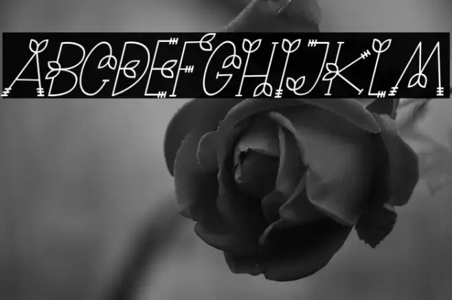 NATURE green Italic Font examples