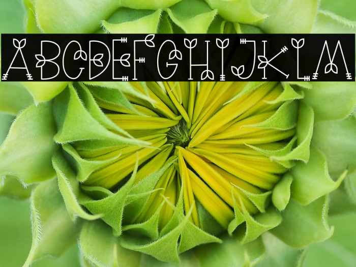 NATURE green Example 3