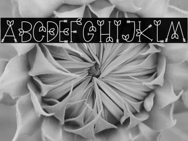 NATURE green Font examples