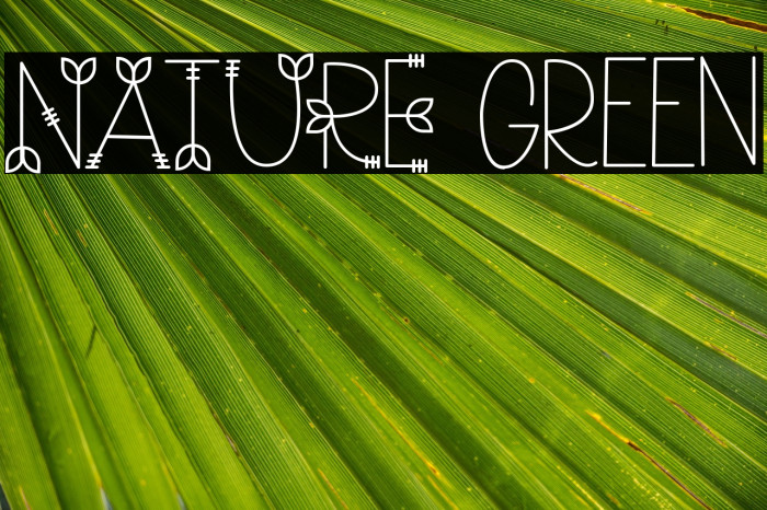 NATURE green Example 3