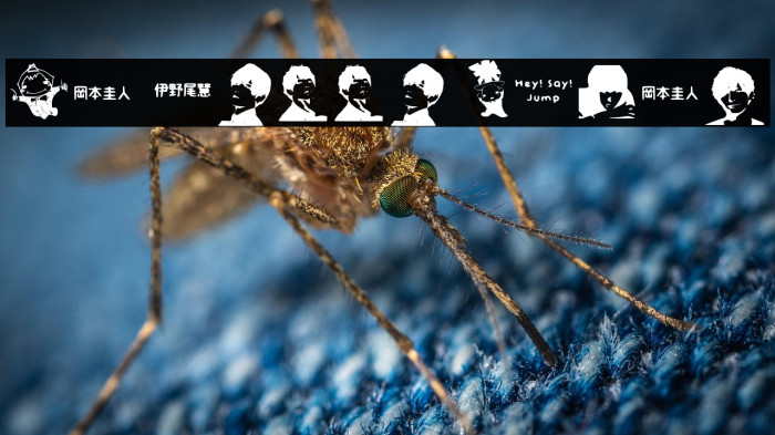 Na Tobikko Regular Example 2