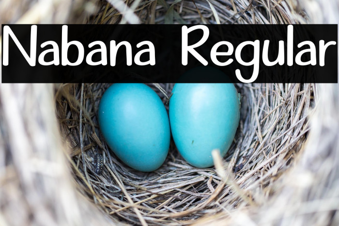 Nabana Regular Example 3