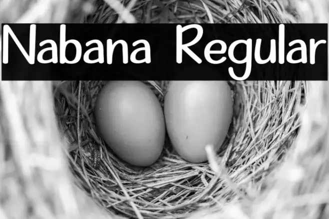 Nabana Regular Example 3
