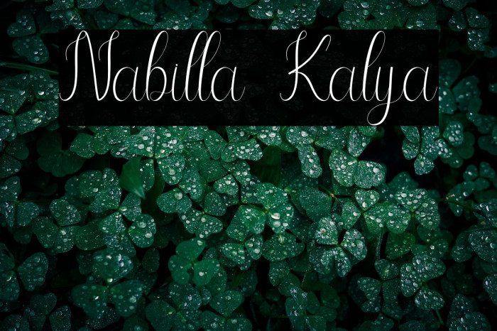 Nabilla Kalya Example 3