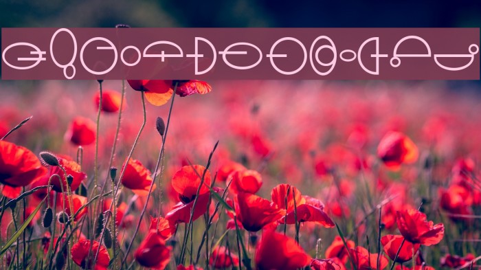 Naboo Font examples