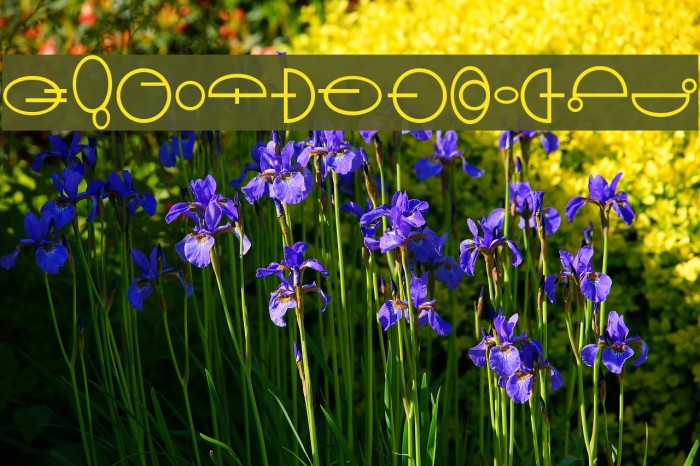 Naboo Font examples