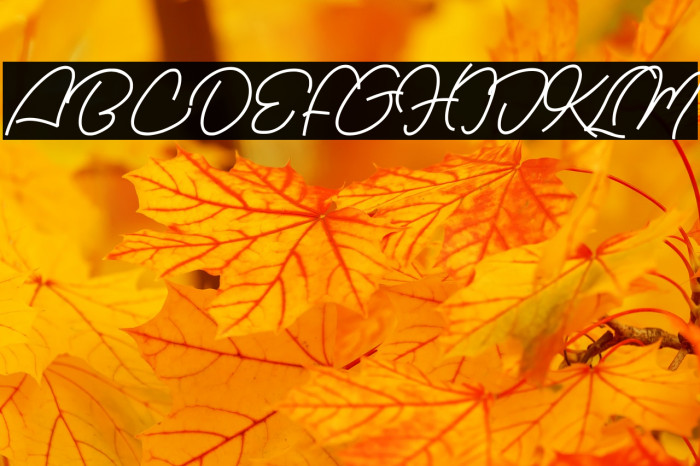 Nachel Victoria Font examples