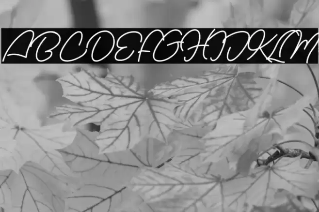 Nachel Victoria Font examples