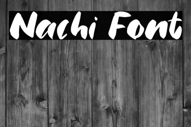 Nachi Example 1