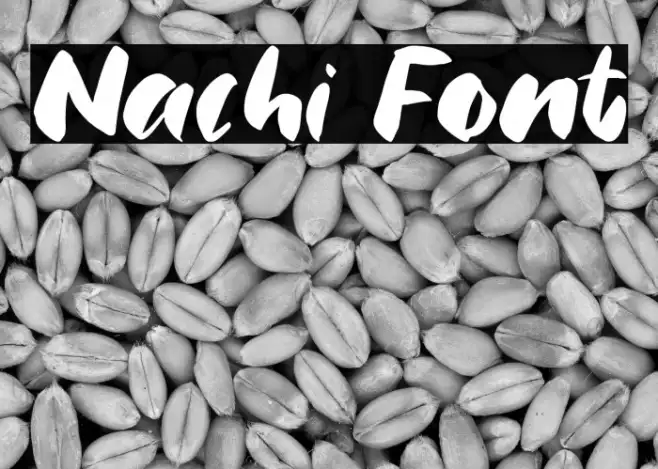 Nachi Example 2