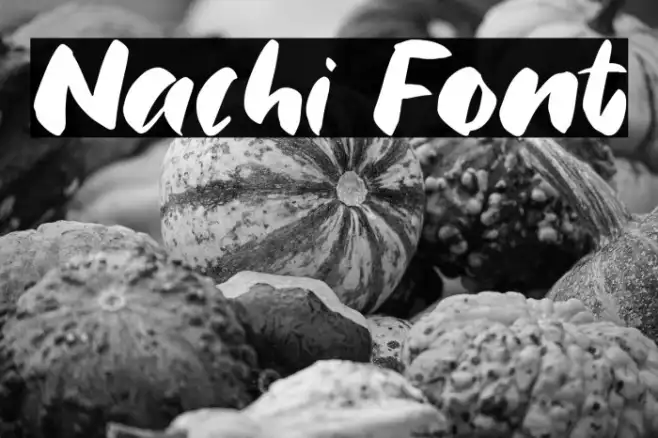 Nachi Example 3