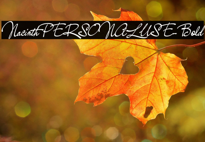 NacinthPERSONALUSE-Bold Example 1