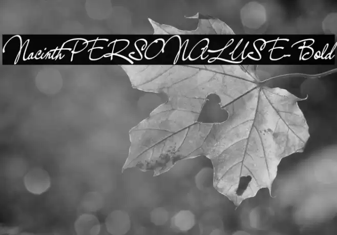 NacinthPERSONALUSE-Bold Font examples