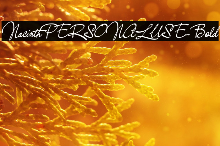 NacinthPERSONALUSE-Bold Example 2