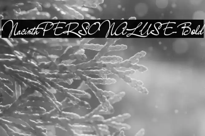 NacinthPERSONALUSE-Bold Font examples