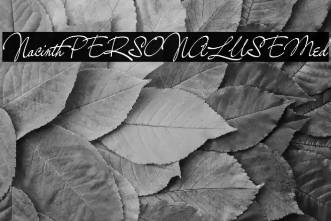 NacinthPERSONALUSEMed Font examples