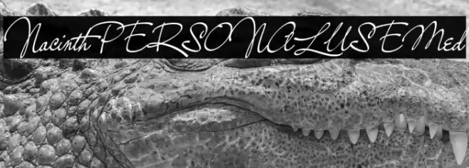 NacinthPERSONALUSEMed Font examples