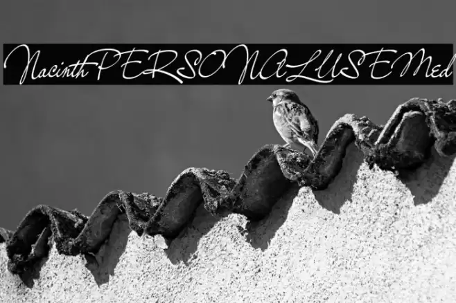 NacinthPERSONALUSEMed Font examples