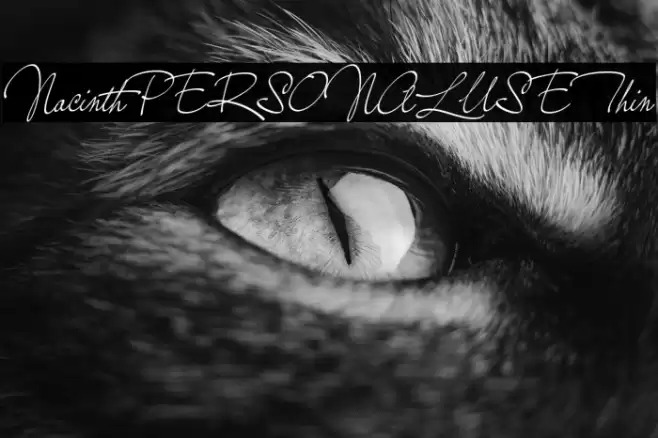 NacinthPERSONALUSEThin Font examples