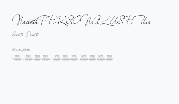 NacinthPERSONALUSEThin Business Card