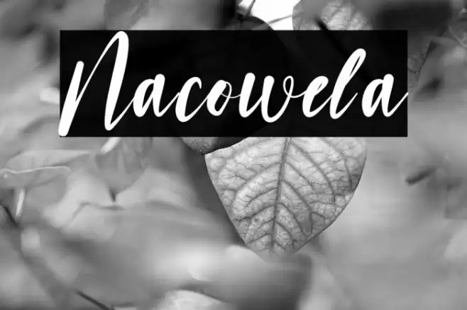 Nacowela फ़ॉन्ट examples