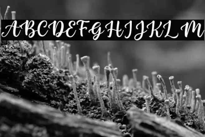 Nada Qonita - Personal Use Font examples