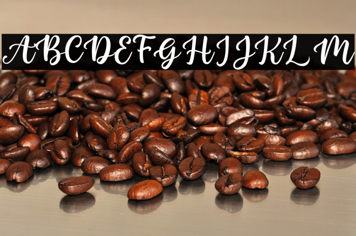 Nada Qonita - Personal Use Example 2