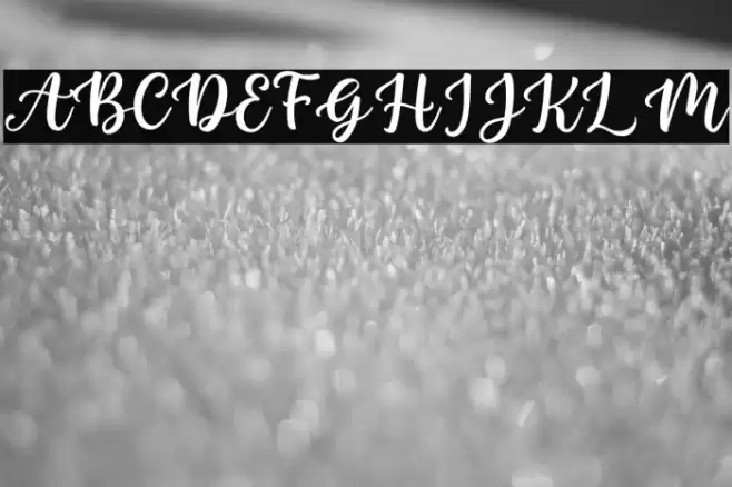 Nada Qonita - Personal Use Font examples