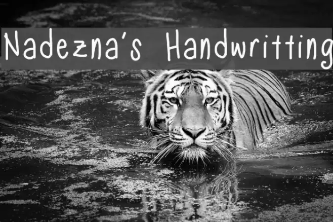 Nadezna's Handwritting Font examples