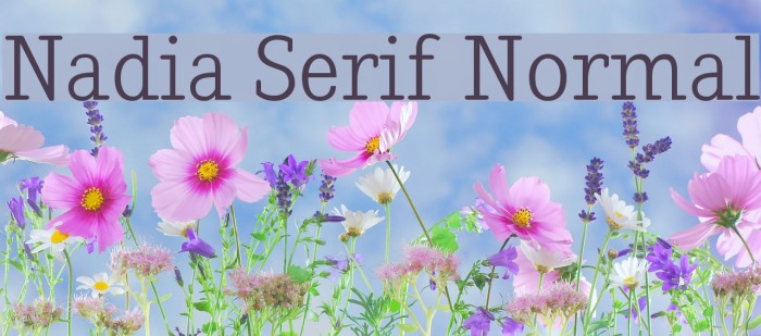 Nadia Serif Normal Font examples