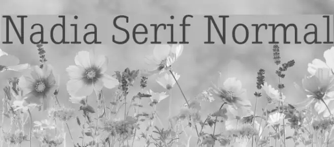 Nadia Serif Normal Example 3