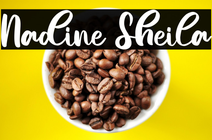 Nadine Sheila Example 1