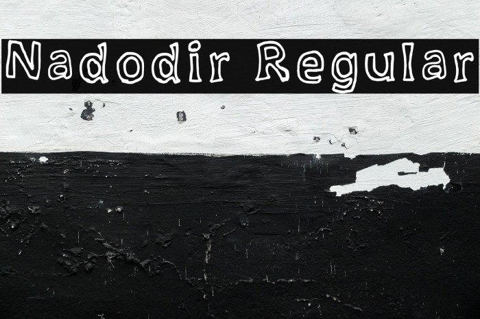 Nadodir Regular Example 2